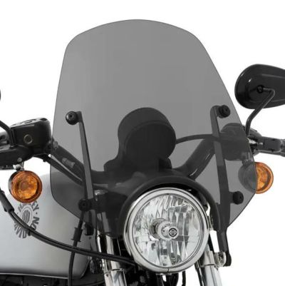 メンフィスシェード DEL REY 13インチ　スポーツシールド ダークスモーク