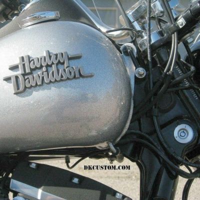 DK-Custom タンクリフトアップキット 2.5インチ カーブあり　ダイナ