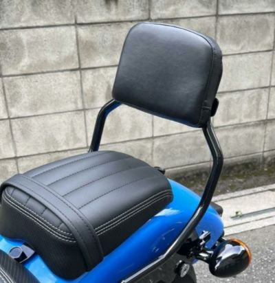 ホールドファストシーシーバー アップライト用 スポーツラゲッジ