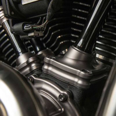 Arlen Ness 10ゲージ リフターブロック M8用 チタニウムアノダイズ
