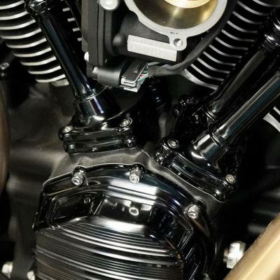 Arlen Ness 10ゲージ リフターブロック ツインカム用 ブラックアノダイズ