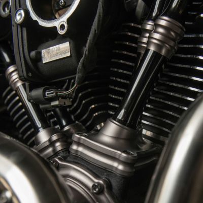 Arlen Ness 10ゲージ リフターブロック ツインカム用 チタニウムアノダイズ