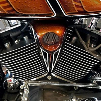 Dirty Bird Concepts The G Spot　ホーンキット　2009～2016 ツーリング