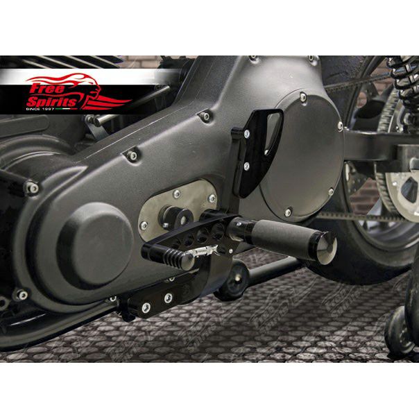 Free Spirits ミッドコントロールキット ダイナ-05