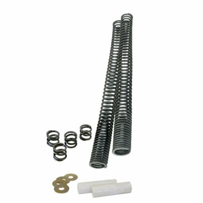 プログレッシブ フロントフォーク・ロアリングキット V-ROD