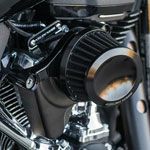 Arlen Ness MINI22 エアクリーナーキット ブラック M8エンジン用