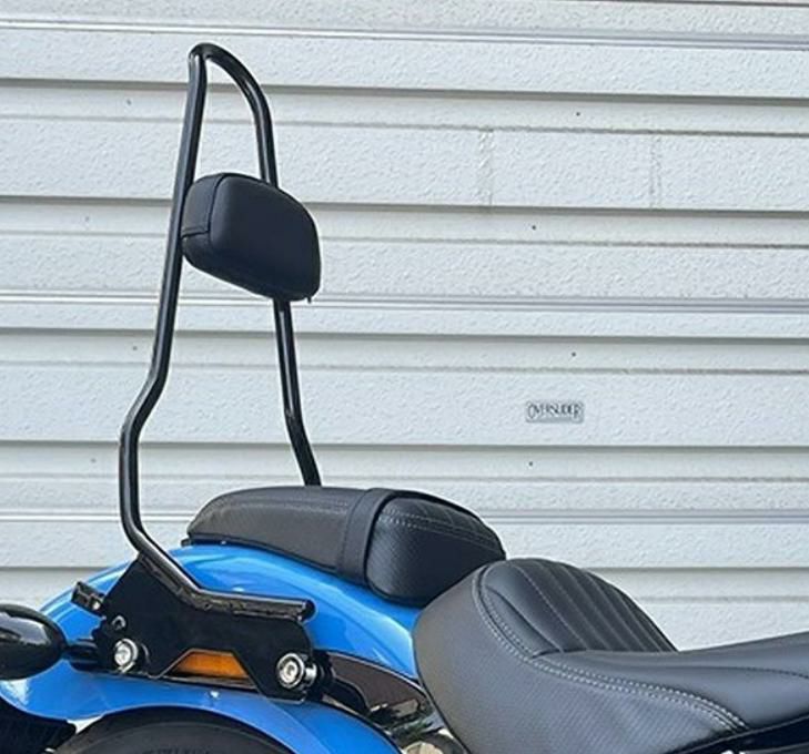 WMW) M8ソフテイル用デタッチャブル ワンピース・シーシーバー(パッド 