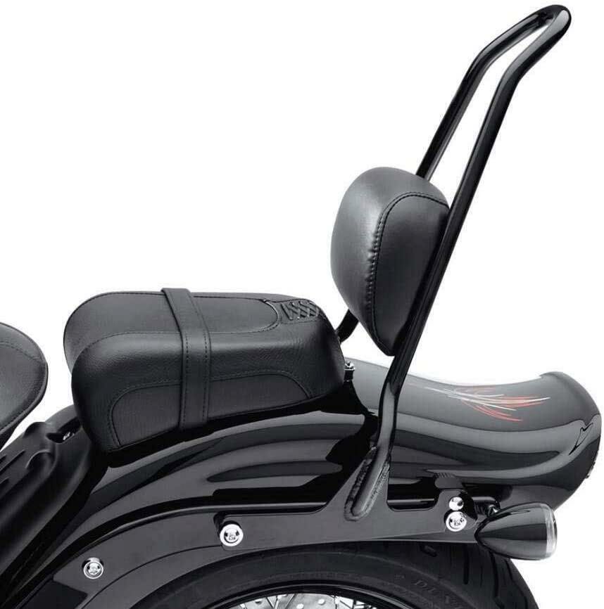 ダイナ用21インチ ワンピース・デタッチャブルシーシーバー ブラック 