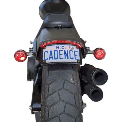 カスタムダイナミクス (Custom Dynamics) ProBEAM ウィンカー機能付き テールライト レッドレンズ
