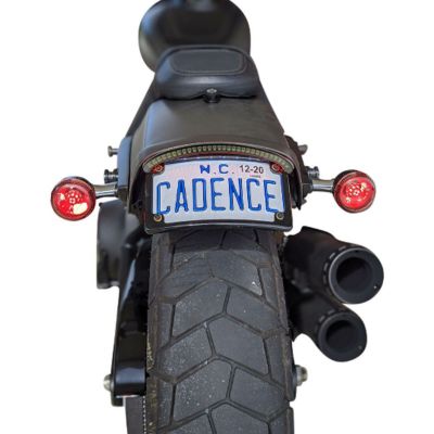 カスタムダイナミクス (Custom Dynamics) ProBEAM ウィンカー機能付き テールライト スモークレンズ