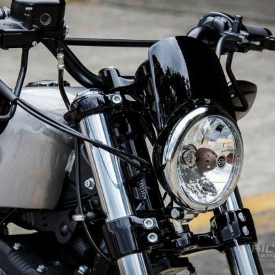 Ricks Motorcycles スポーツスター48用 ウィンドシールド