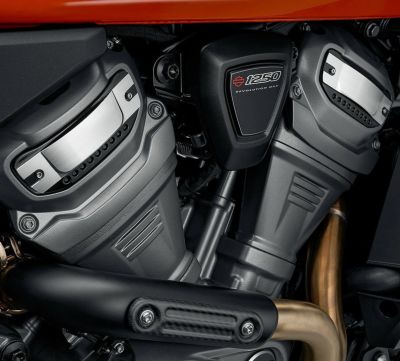 Wild One コレクション カムスプロケット メダリオン