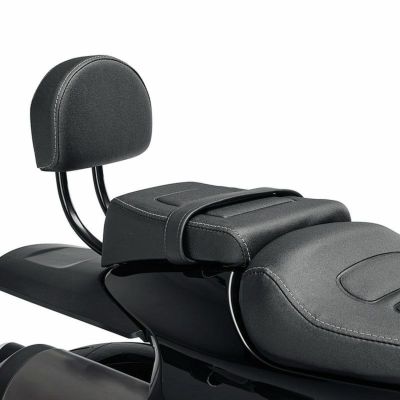 スポーツスターS用パッセンジャー バックレストキット
