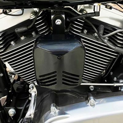 カスタムダイナミクス (Custom Dynamics) ハーレー用 デュアルトーン・エアホーン ブラック
