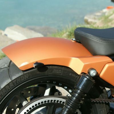 Ricks Motorcycles 2010～2021 スポーツスター スチールリアフェンダー 180/200mmタイヤ用