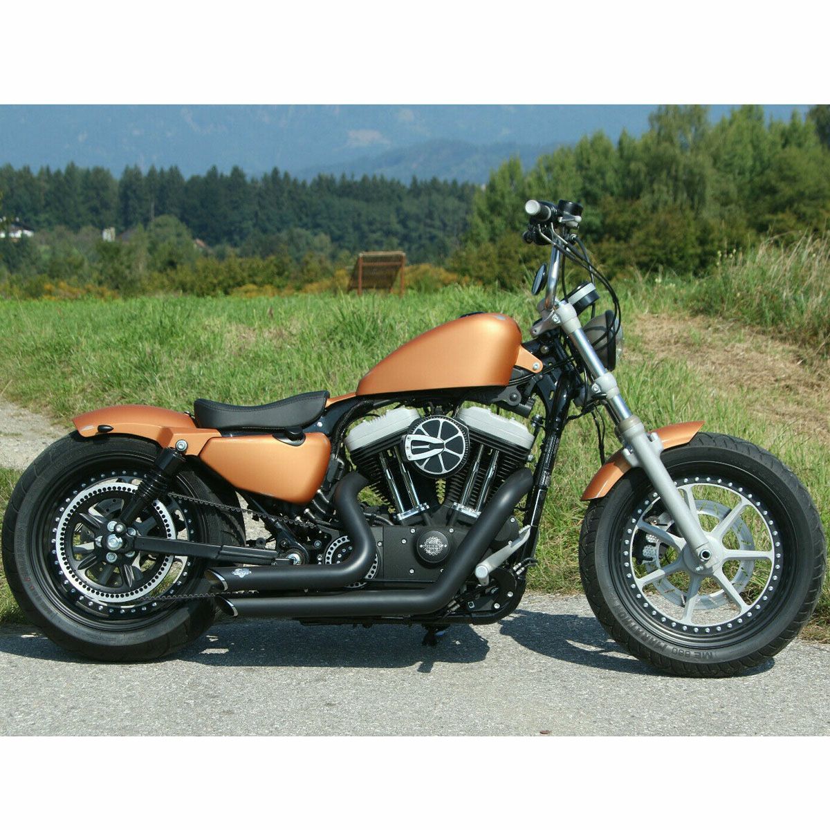 Ricks Motorcycles 2010～2021 スポーツスター スチールリアフェンダー 180/200mmタイヤ用-06