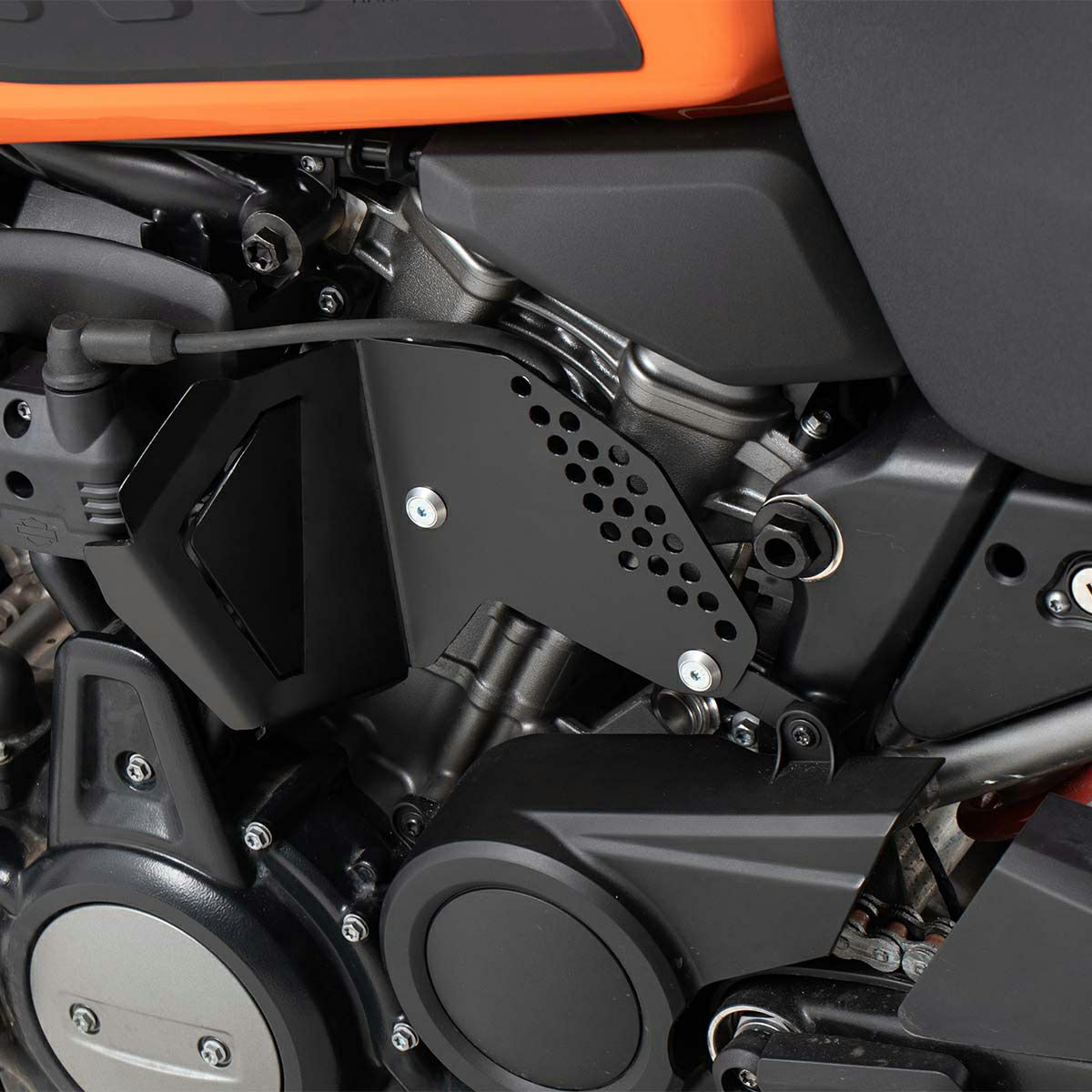 Wild One コレクション カムスプロケット メダリオン |ハーレーパーツ 