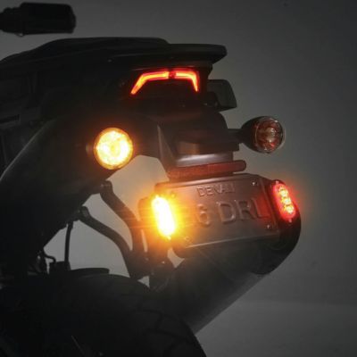 ハーレー パンアメリカ T3 リアターンシグナル ライセンスプレートキット DENALI