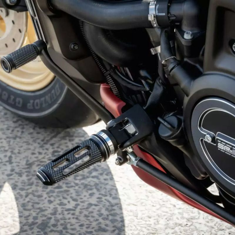 ハーレー、ツーリング用フットペグ、シフターペグ( サンダーバイクPeg