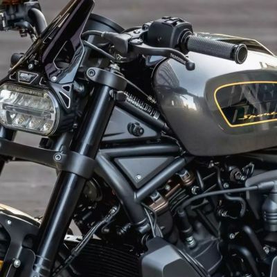 スポーツスターS、ナイトスター RH975 フレームカバー ブラック Thunderbike