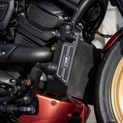 スポーツスターS、ナイトスター RH975 ラジエターシュラウドセット バイカラー Thunderbike