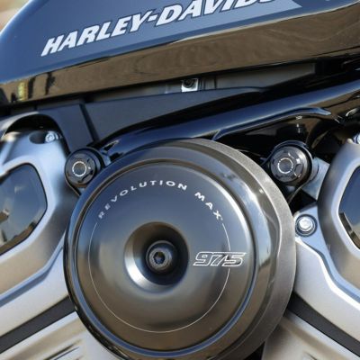 ハーレー ナイトスター 15㎜サイズ ボルトカバー(プレミアム) Ricks Motorcycles