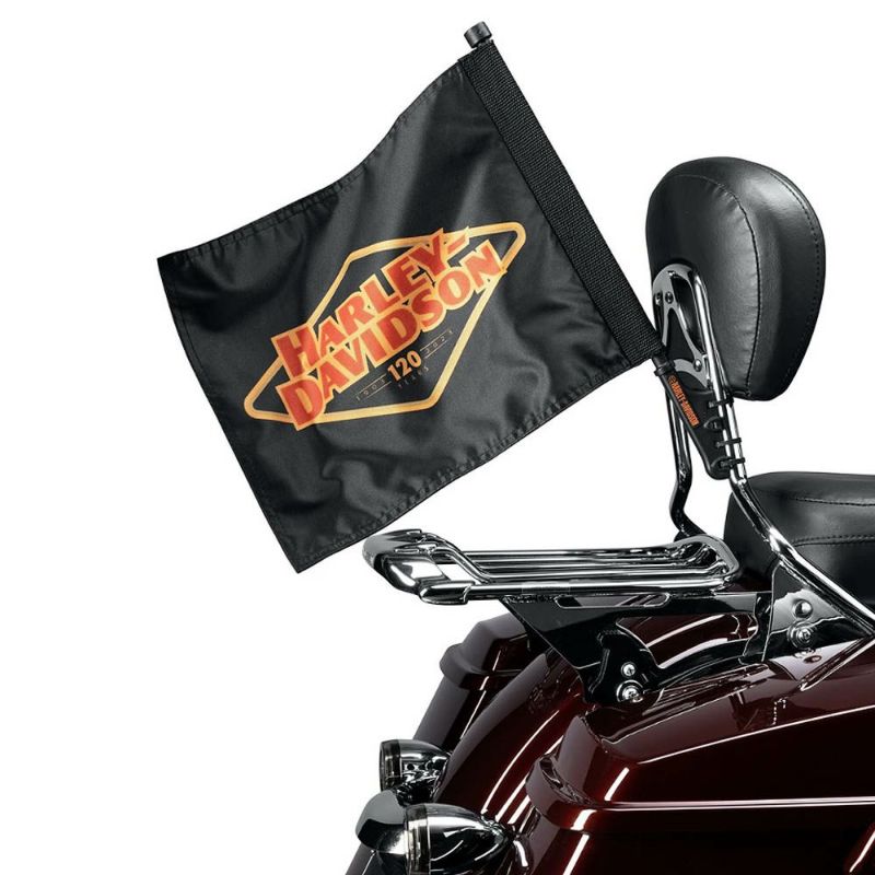 Harley ハーレー 汎用 シーシーバー ポールのみ 500㎜ 日本製 シーシーバー、バックレスト