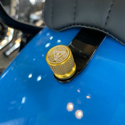 メーカーロゴデザイン シートスクリューボルト ゴールドアルマイト Speed Kings