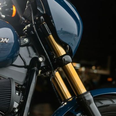 M8ソフテイル 49mmフォークチューブ ノーマル長 (ゴールド) Arlen Ness