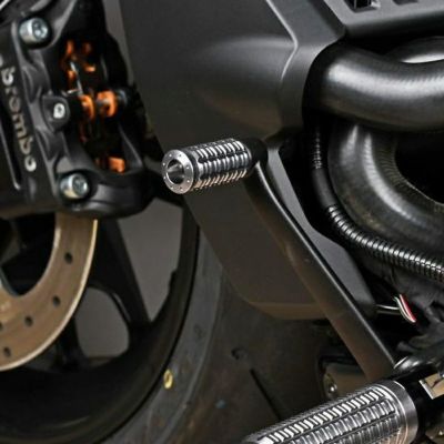 スポーツスターS、ナイトスター、パンアメリカ アルミシフトペグ (チタンカラー) SPEEDRA