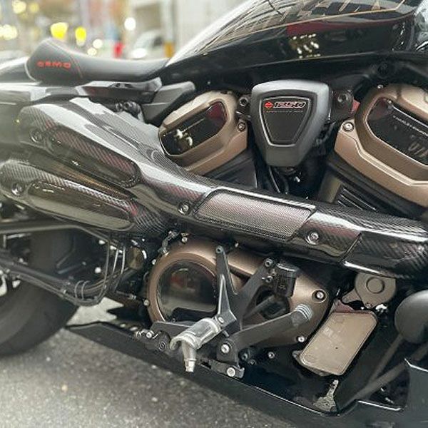 スポーツスターS RH1250S ドライカーボン マフラーヒートガード  