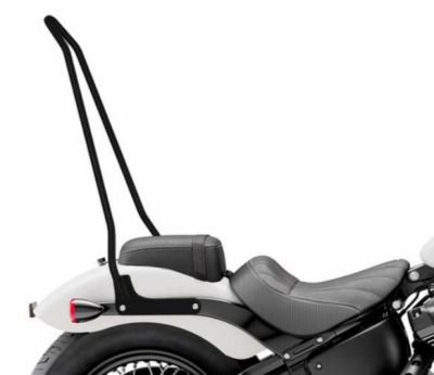 ハーレー M8 ストリートボブ Iron Born Blade 25インチ・リジッドシーシーバー マットブラック