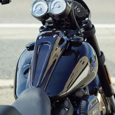 2020～2021 ローライダーS タンクパネル ノイズ