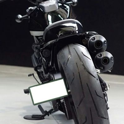 スポーツスターS サイドナンバーキット ノイズ