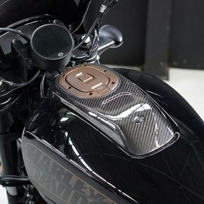 スポーツスターS ドライカーボン・タンクパネル ノイズ