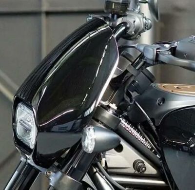 スポーツスターS アッパーフェアリング ノイズ