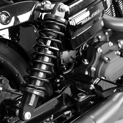 Legend Suspension Revo スタンダード・リアサスペンション 13インチ (ブラック) 【ダイナ】