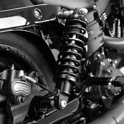 Legend Suspension Revo-A 伸び側減衰調整付 スタンダード・リアサスペンション 14インチ (ブラック) 【ダイナ】